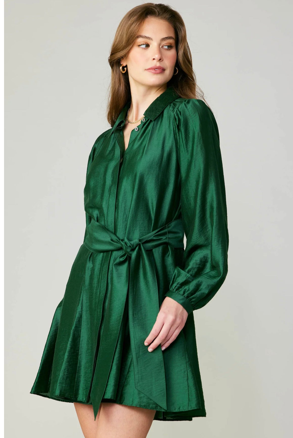 Lustrous Belted Mini Dress