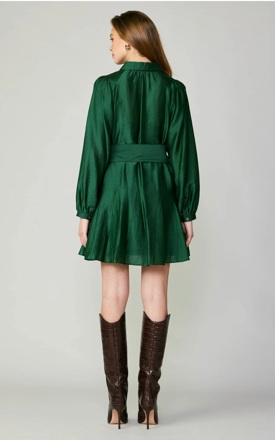 Lustrous Belted Mini Dress